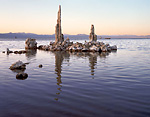Evening Tufa, Mono Lake, CA
